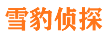 海口市侦探调查公司